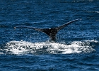 Cabo2022 (5)