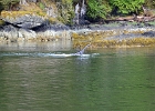 DSC 0702  Alaska 2012