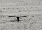 DSC 0747  Alaska 2012