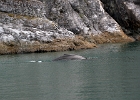 DSC 1221  Alaska 2012
