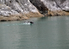 DSC 1223  Alaska 2012