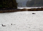 DSC 1403  Alaska 2012