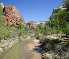 D8C 4261o  Zion National Park
