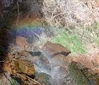 D8C 4283a  Zion National Park