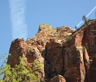 D8C 4291  Zion National Park