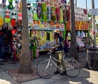 D8C 5010a  Venice Beach