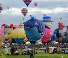 D8C 7911p  Balloon fiesta, 2015