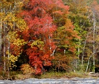 DSCN1515a  Fall foliage, Asheville, NC