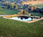 Napa from balloon  Napa vineyards