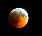 Red Wolf moon  Red wolf moon - January 2019
