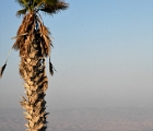 Judean hills