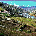 Portugal (1)  Douro Valley, Portugal